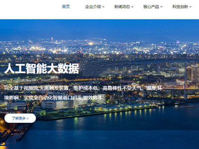 藍色寬屏人工智能網站建設-案例